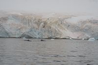 
DSC00094